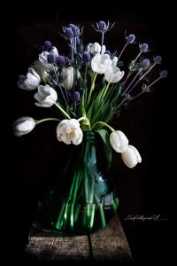 fiori-1